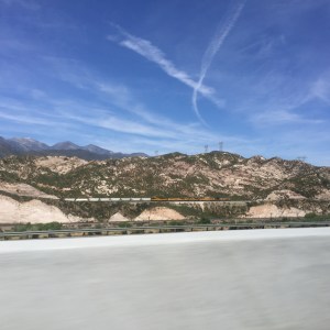 IMG_0100