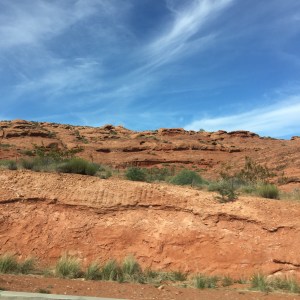IMG_0338