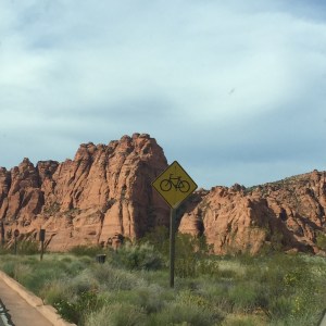 IMG_0354